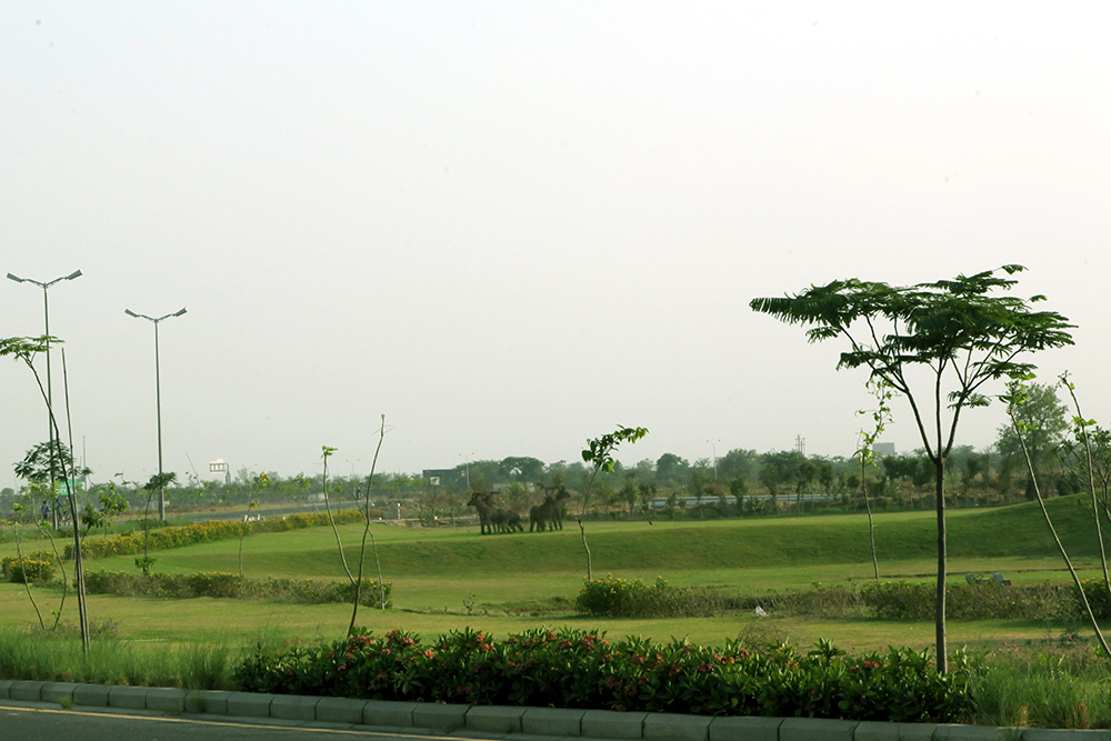Green Area